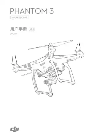 DJI大疆精灵 Phantom 3 Pro